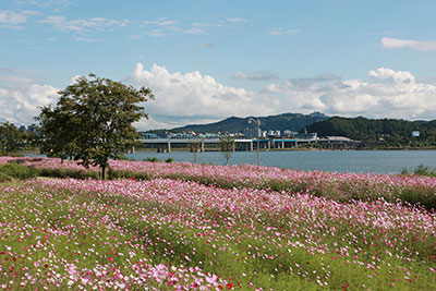 이촌 강변 산책길