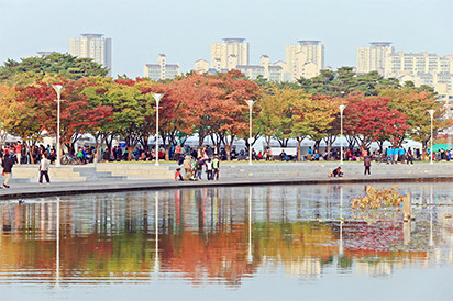 평화의 공원