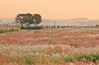 하늘공원