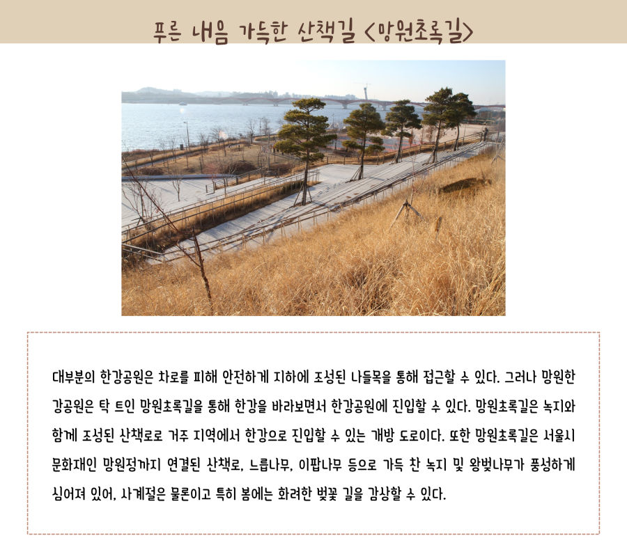 푸른 내음 가득한 산책길 망원초록길. 대부분의 한강공원은 차로를 피해 안전하게 지하에 조성된 나들목을 통해 접근할 수 있다. 그러나 망원한강공원은 탁 트인 망원초록길을 통해 한강을 바라보면서 한강공원에 진입할 수 있다. 망원초록길은 녹지와 함께 조성된 산책로로 거주 지역에서 한강으로 진입할 수 있는 개방도로이다. 또한 망원초록길은 서울시 문화재인 망원정까지 연결된 산책로, 느릅나무, 이팝나무 등으로 가득 찬 녹지 및 왕벚나무가 풍성하게 심어져 있어, 사계절은 물론이고 특히 봄에는 화려한 벛꽃 길을 감상할 수 있다.