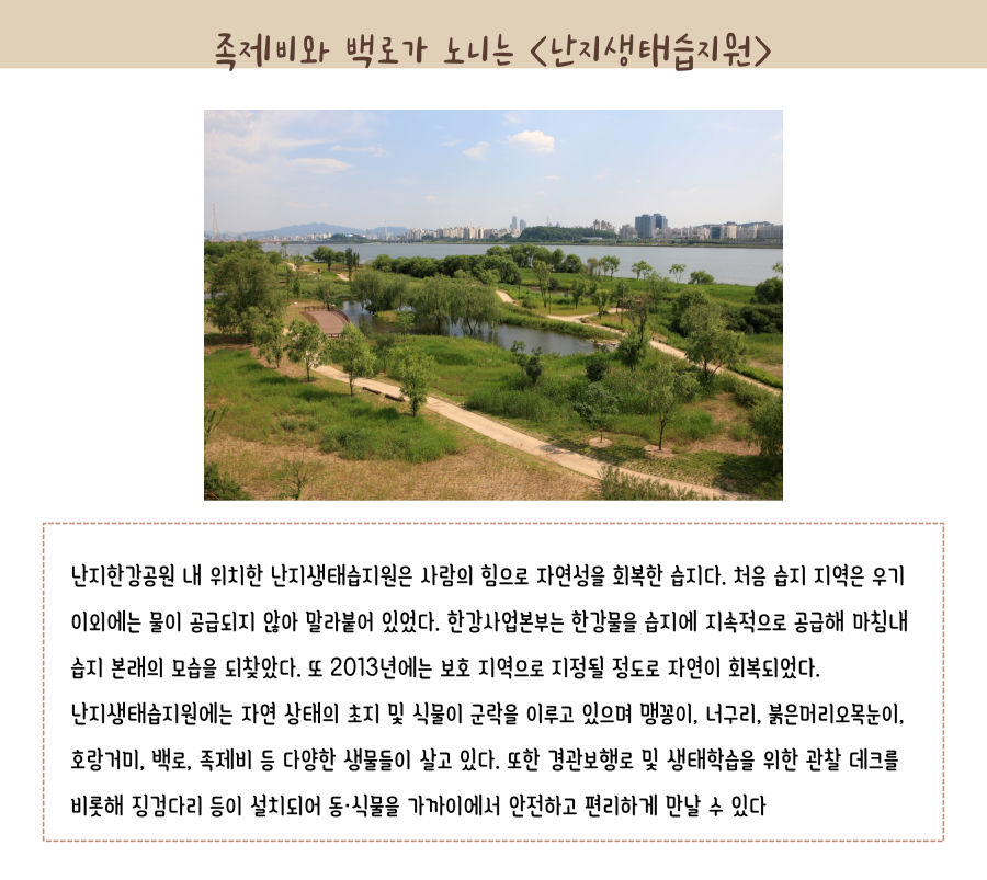 족제비와 백로가 노니는 난지생태습지원. 난지한강공원 내 위치한 난지생태습지원은 사람의 힘으로 자연성을 회복한 습지다. 처음 습지 지역은 우기 이외에는 물이 공급되지 않아 말라붙어 있었다. 한강물을 습지에 지속적으로 공급해 마침내 습지 본래의 모습을 되찾았다. 또 2013년에는 보호지역으로 지정될 정도로 자연이 회복되었다. 난지생태습지원에는 자연 상태의 초지 및 식물이 군락을 이루고 있으며 맹꽁이, 너구리, 붉은머리오목눈이,  호랑거리, 백로, 족제비 등 다양한 생물들이 살고 있다. 또한 경관보행로 및 생태학습을 위한 관찰데크를 비롯해 징검다리 등이 설치되어 동·식물을 가까이에서 안전하고 편리하게 만날 수 있다