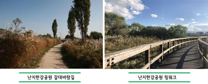 난지한강공원 갈대바람길과 링워크