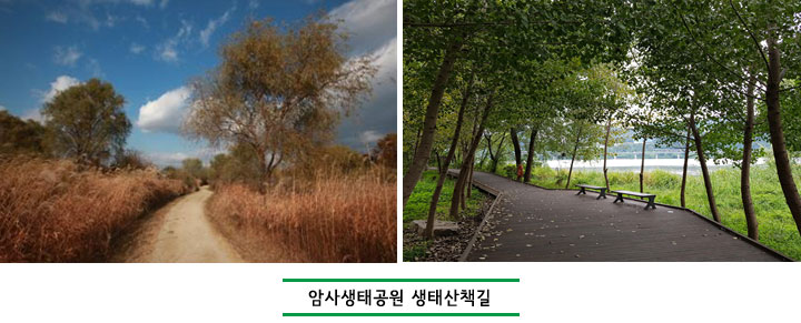 암사생태공원 생태산책길