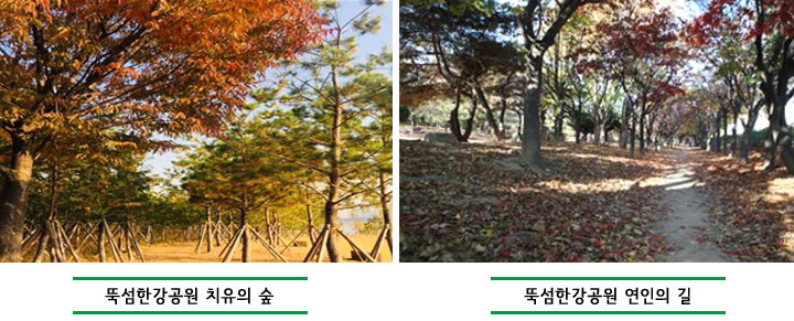뚝섬한강공원 치유의 숲과 연인의 길