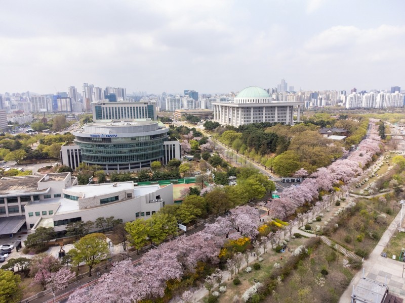2022년 여의도 윤중로 벚꽃 드론촬영 사진(국회 방향)